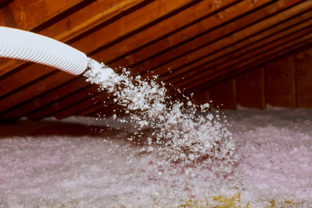 Best Residential Insulation Services  in Holden Heights, FL