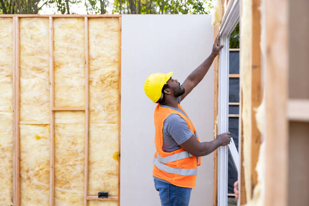 Best Insulation Removal  in Holden Heights, FL