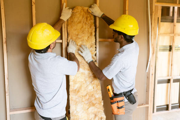 Best Attic Insulation Installation  in Holden Heights, FL