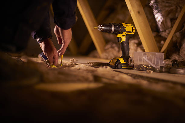 Best Home Insulation Services  in Holden Heights, FL